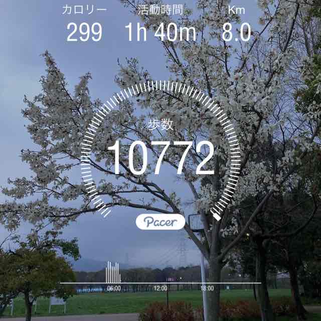 劉　徳花💐 post 1