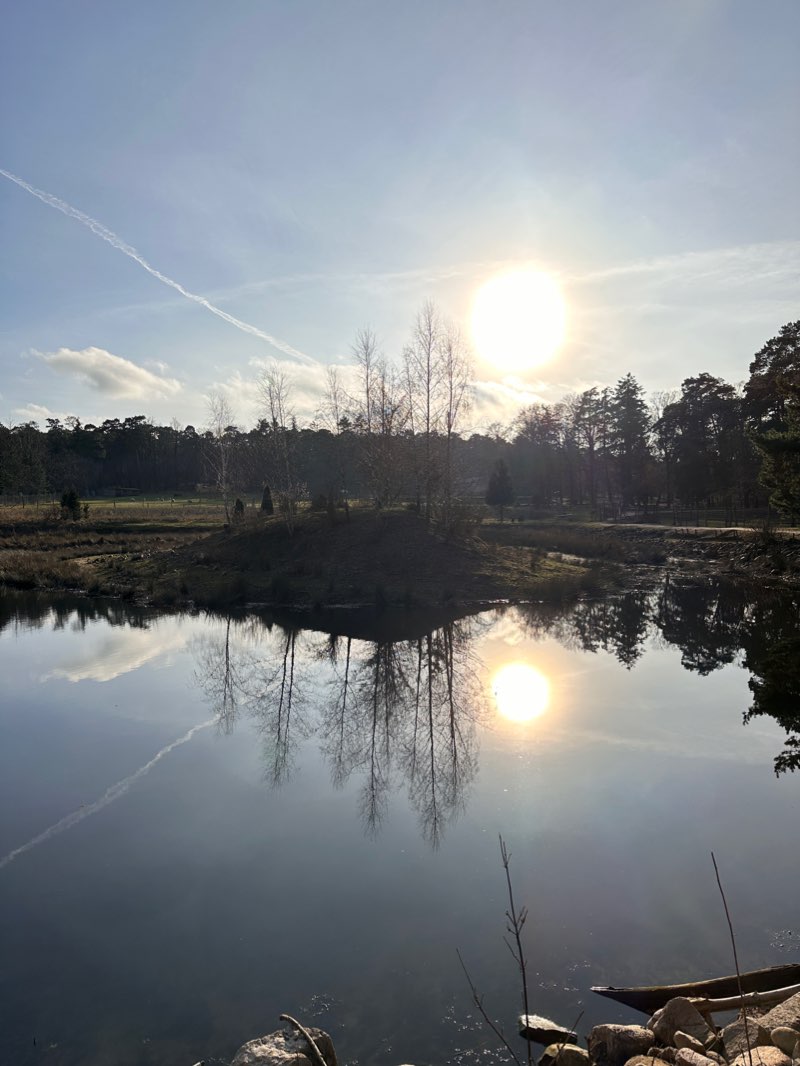 walking near me in Schwarzwild in winter
