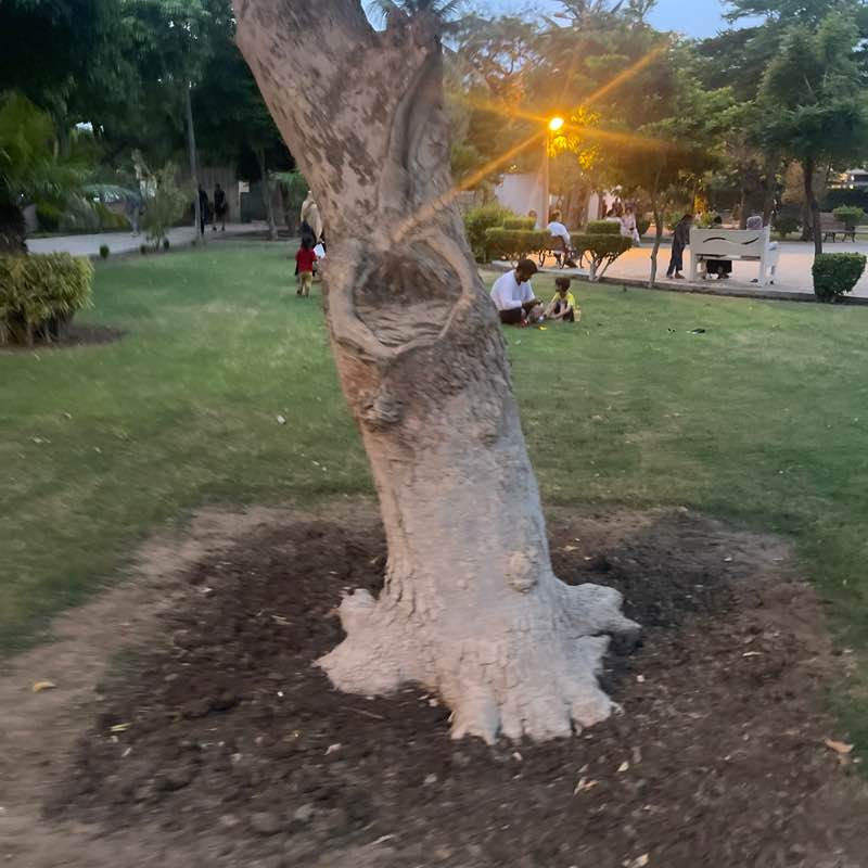 Kishan Chand Dinani post 1