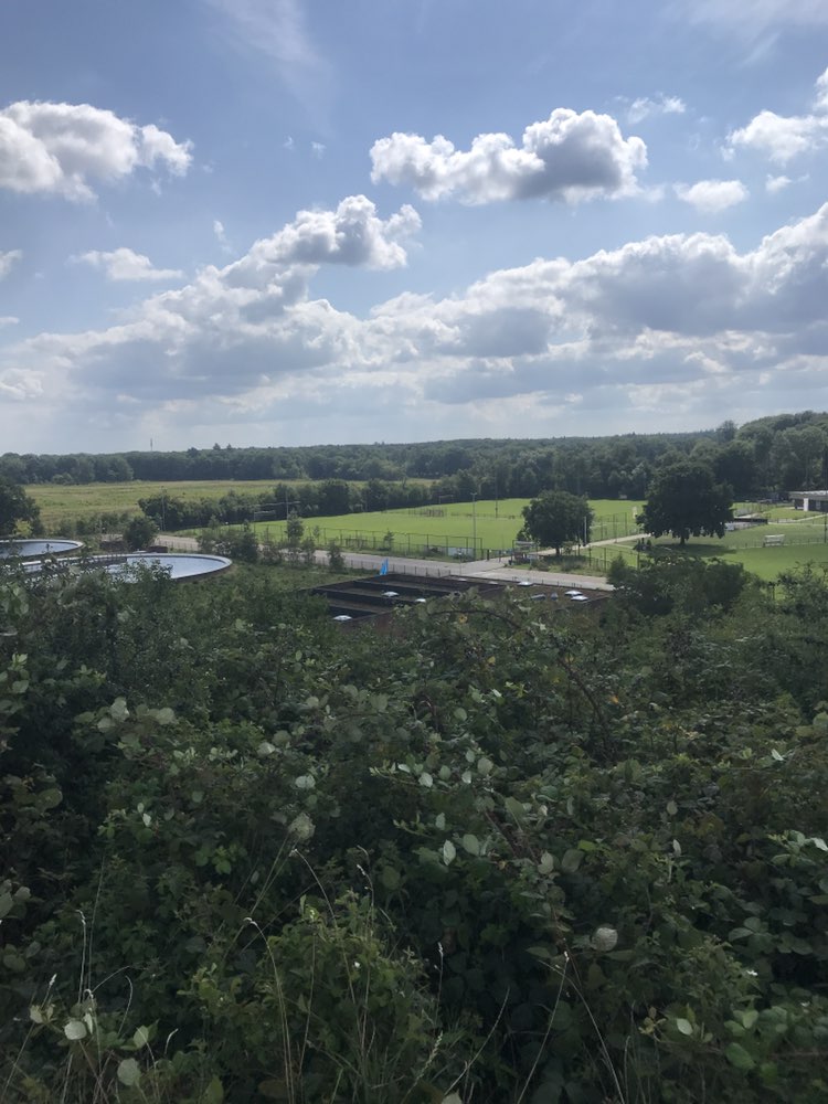 walking near me in Anna's Berg in autumn