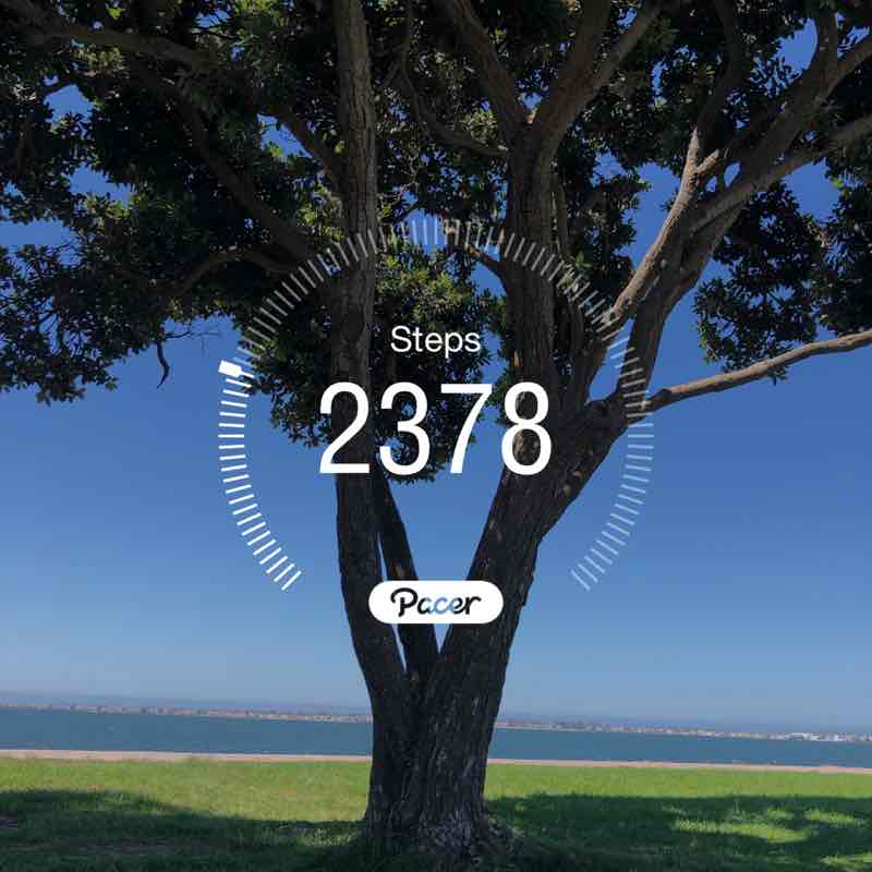 lopez_maria1967 post 1