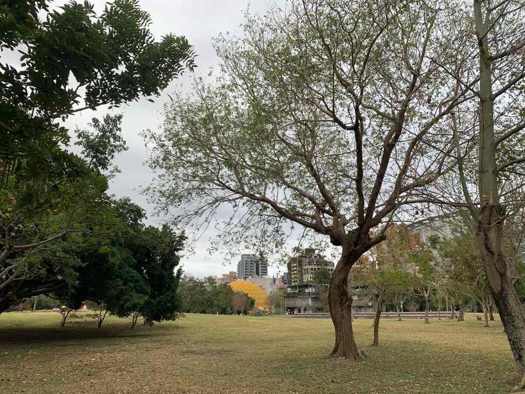 walking near me in Meilun Park in winter