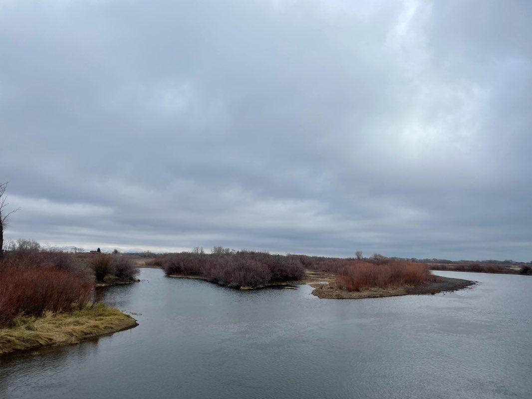 walking near me in Porter Park in winter