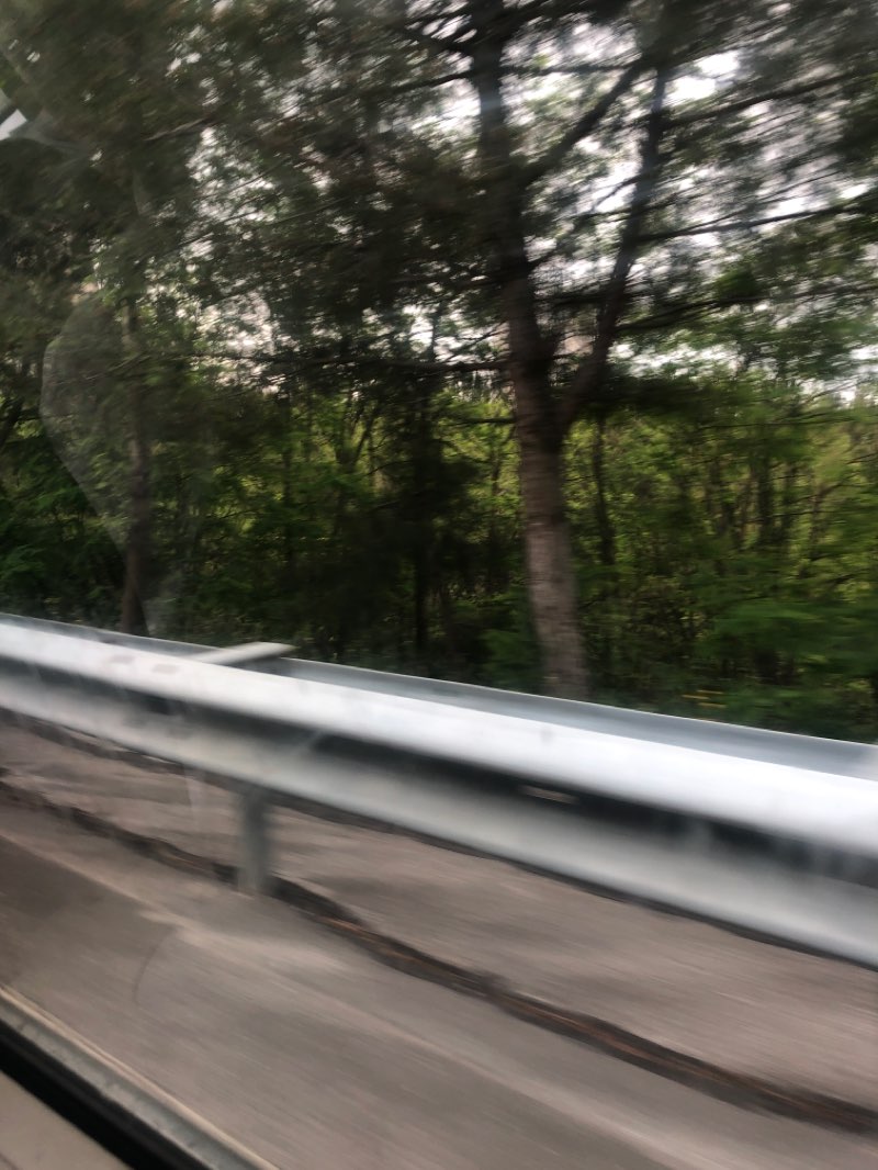 walking near me in T.C. Bandırma Kaymakamlığı in winter