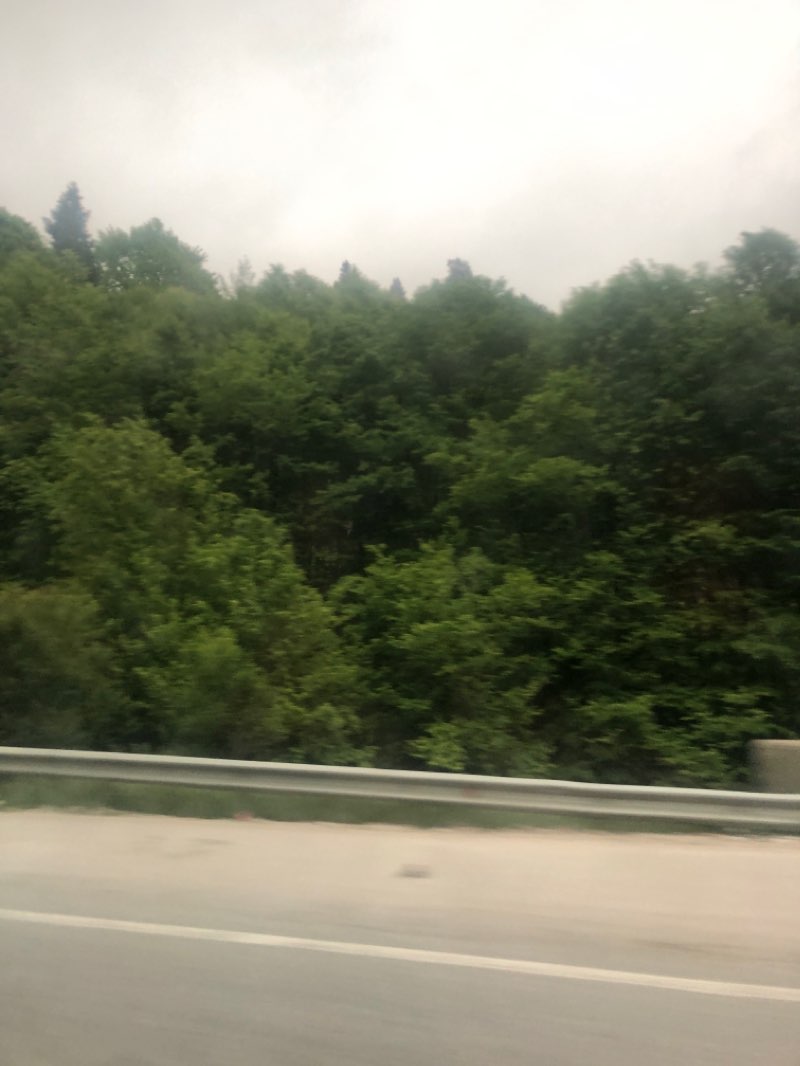 walking near me in Uluönder Göletli Park in winter