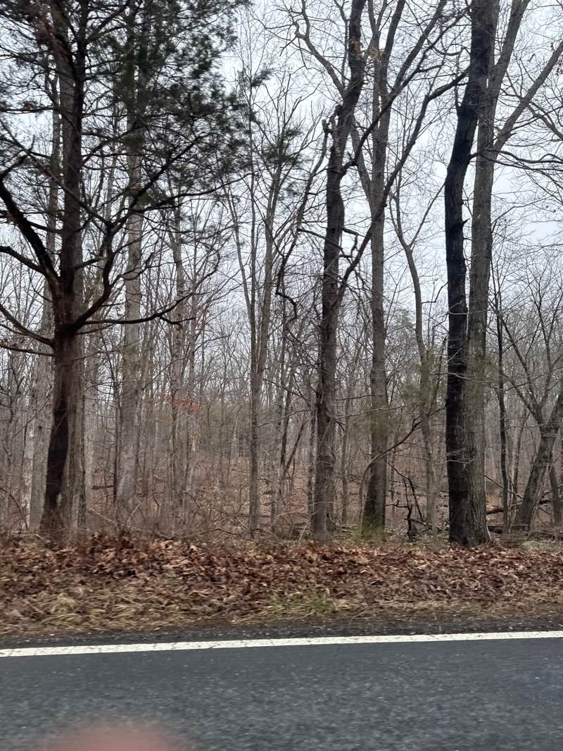 walking near me in Serpentine Barrens Conservation Park in spring