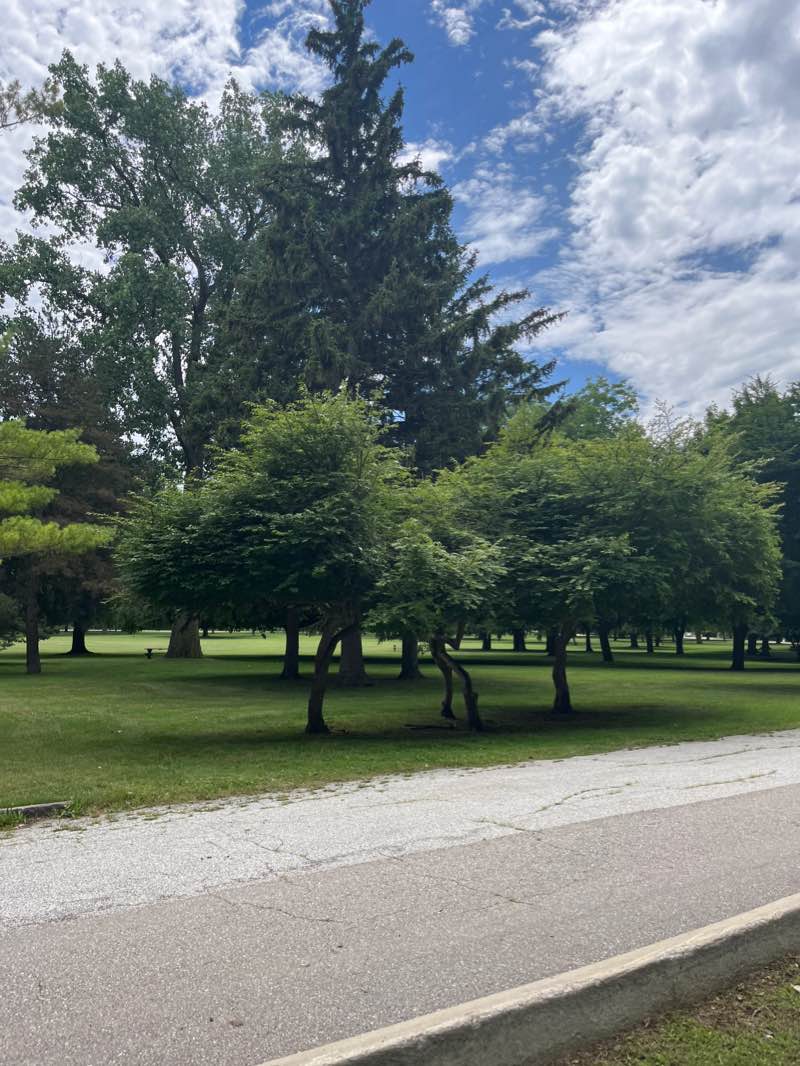walking near me in Ojibway Island in winter