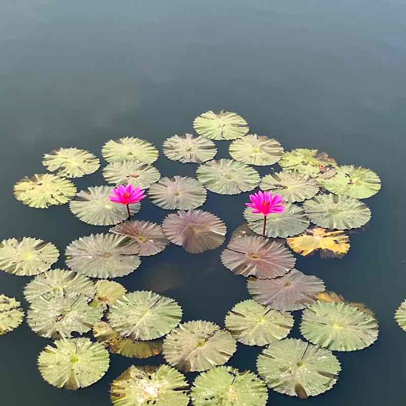 Chandan Chaudhary post 1