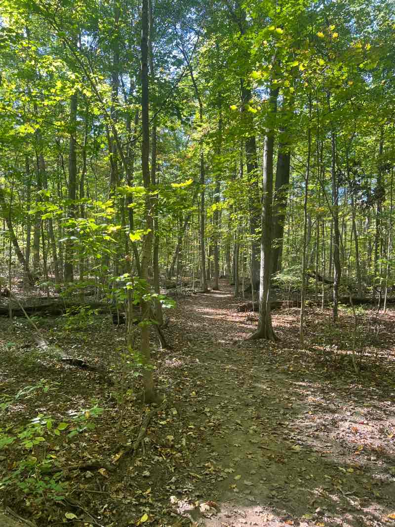 walking near me in Hubbard Valley Park in autumn