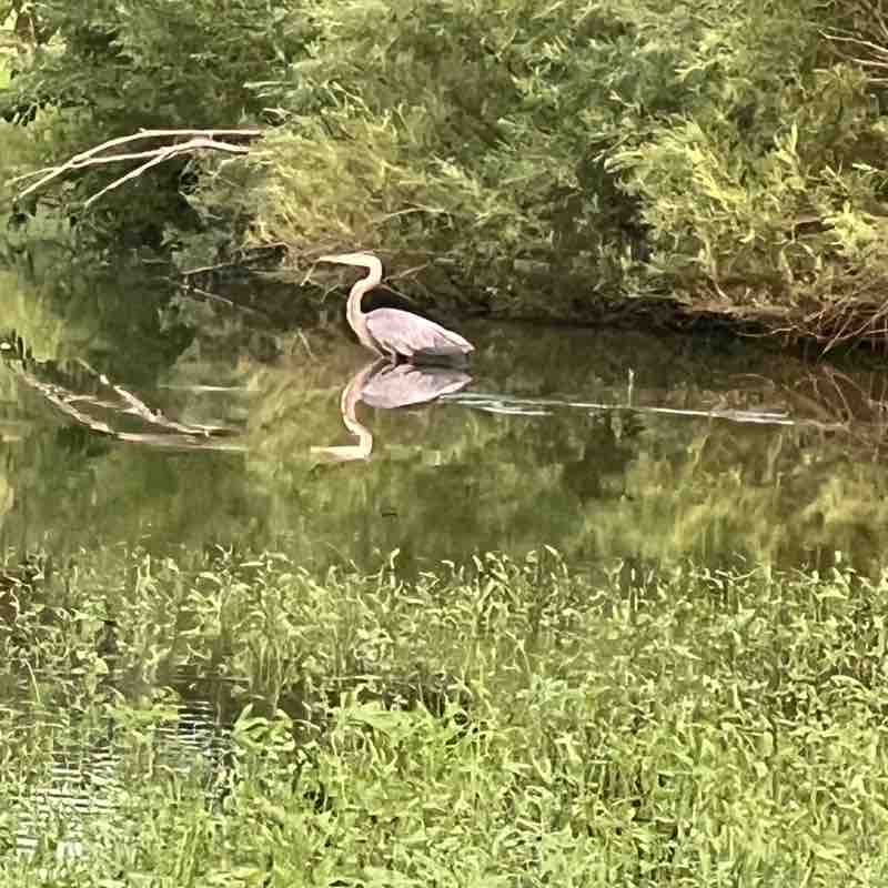 PacerPal post 1