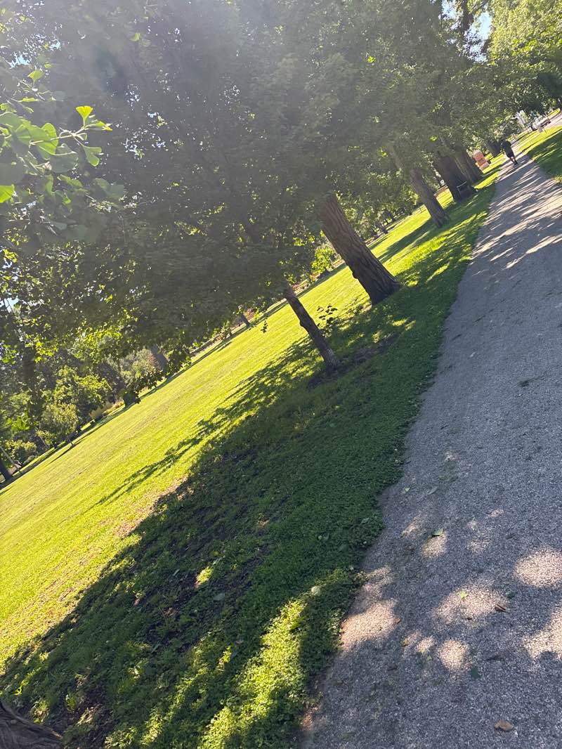 walking near me in Wilson Park in summer