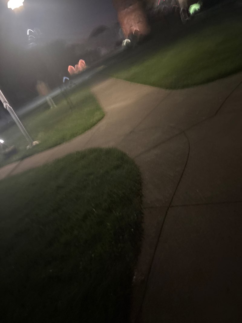 walking near me in Library park in summer