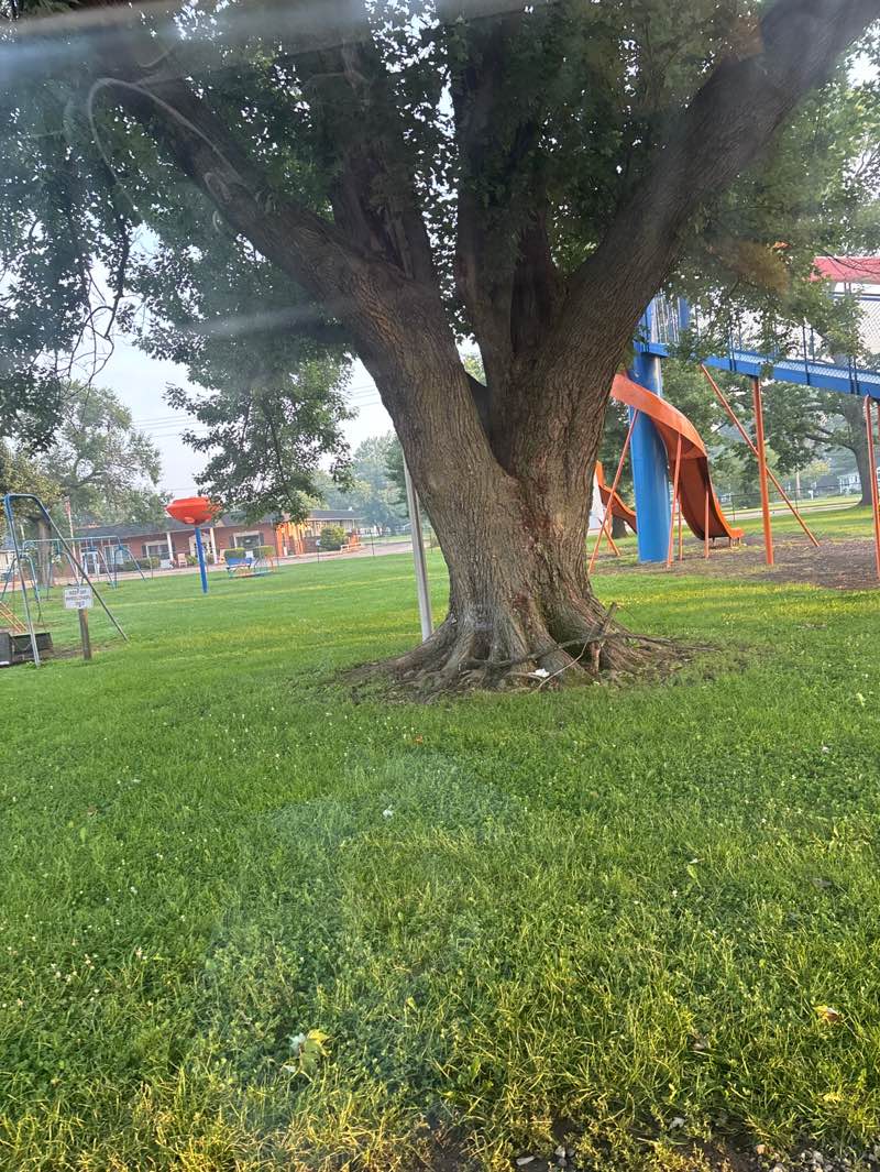 walking near me in Kiwanis Park in summer