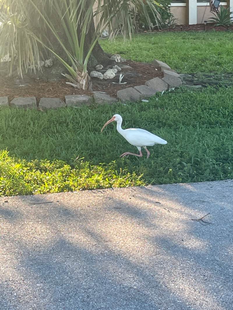 walking near me in Paul Sanborn Park in winter