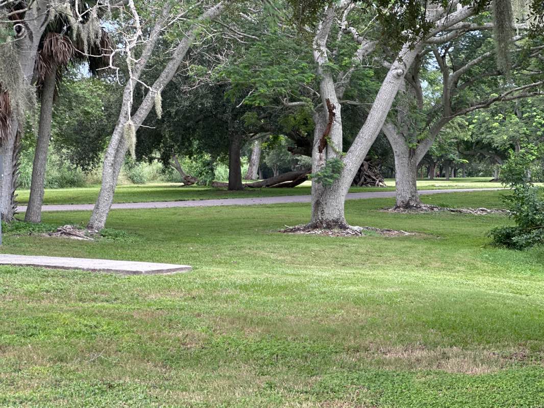 walking near me in Harbor Palms Nature Park in summer