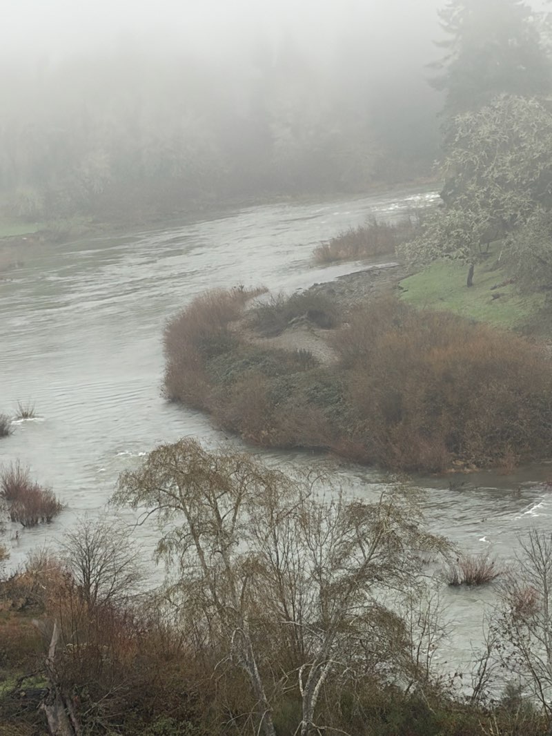walking near me in UCC Park in winter