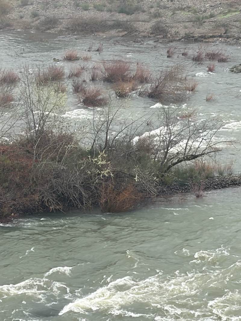walking near me in UCC Park in winter