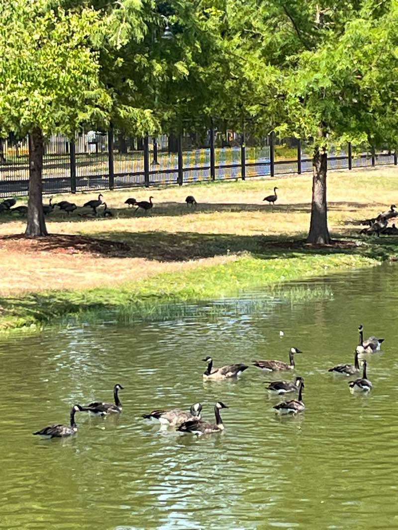 walking near me in Riverfront Park in autumn
