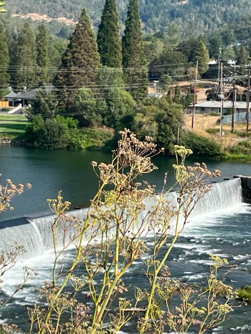 walking near me in Amacher County Park in autumn
