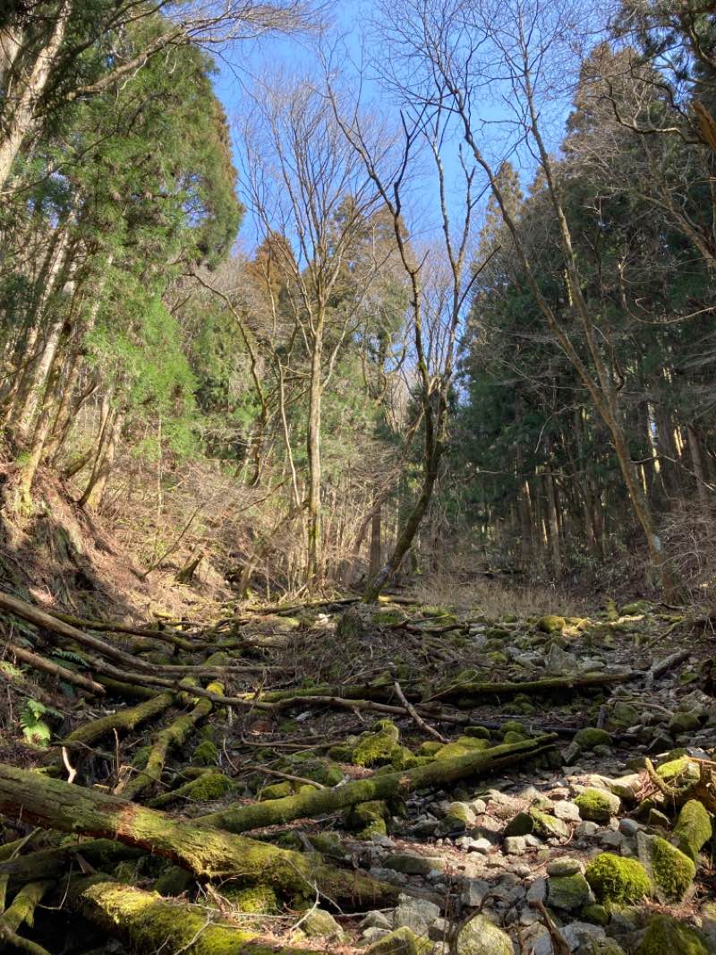 walking near me in 府民の森 ちはや園地 in winter
