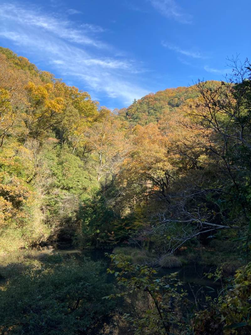 walking near me in 府民の森 なるかわ園地 in autumn