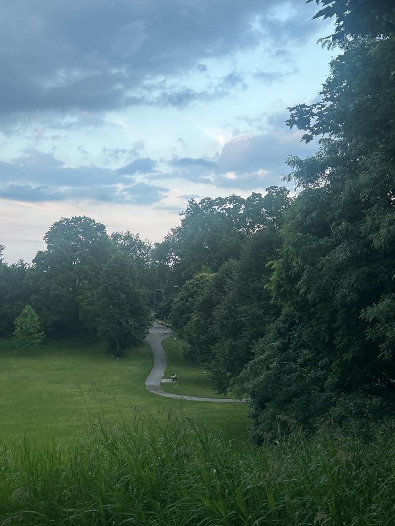 walking near me in Doidge Park in summer