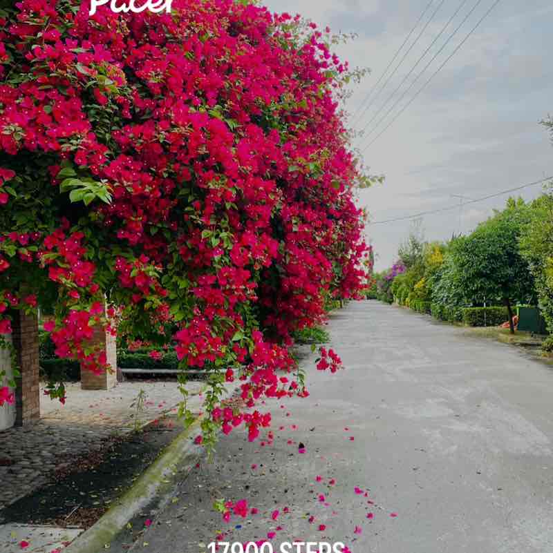 elnaz post 1