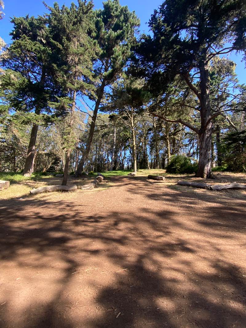 walking near me in Golden Gate Park in summer