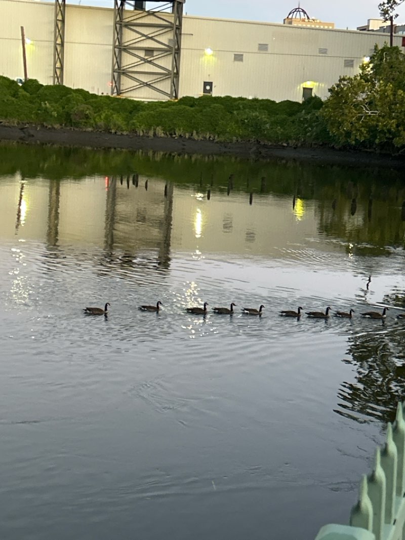 walking near me in Fairmount Park in autumn