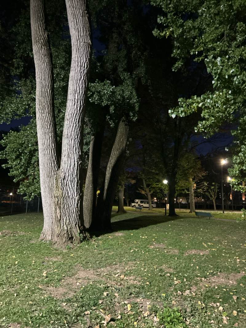 walking near me in Foschini Park in autumn