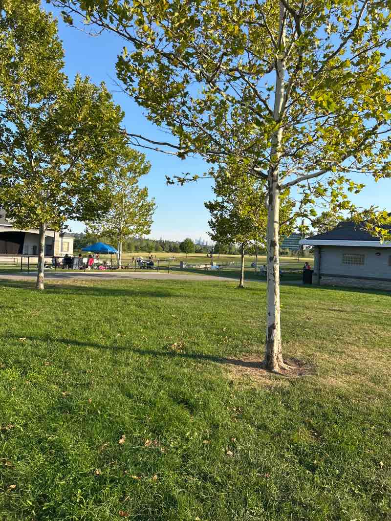 walking near me in Overpeck Park in autumn
