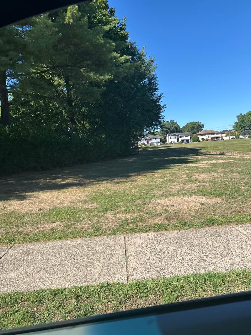 walking near me in Warren Point Annex Field in autumn