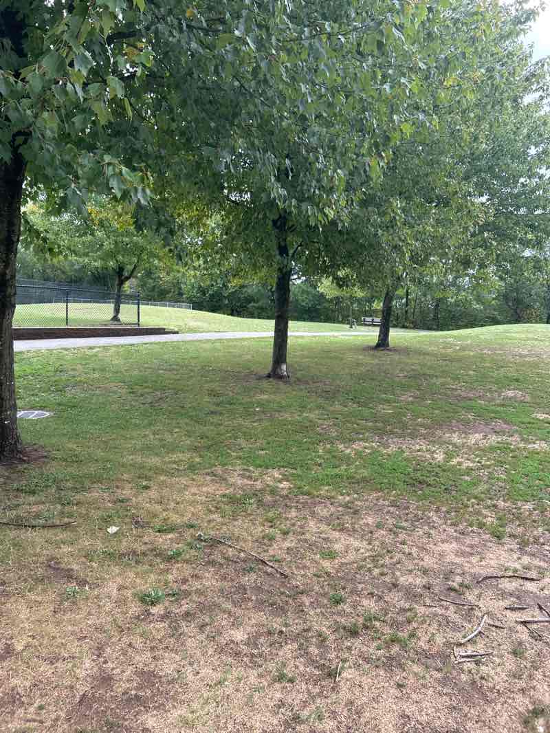 walking near me in Johnson Park in autumn