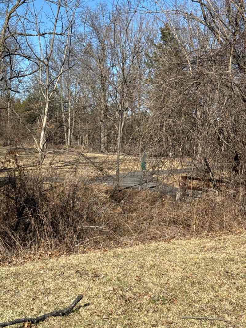 walking near me in Castle Pointe Park in winter