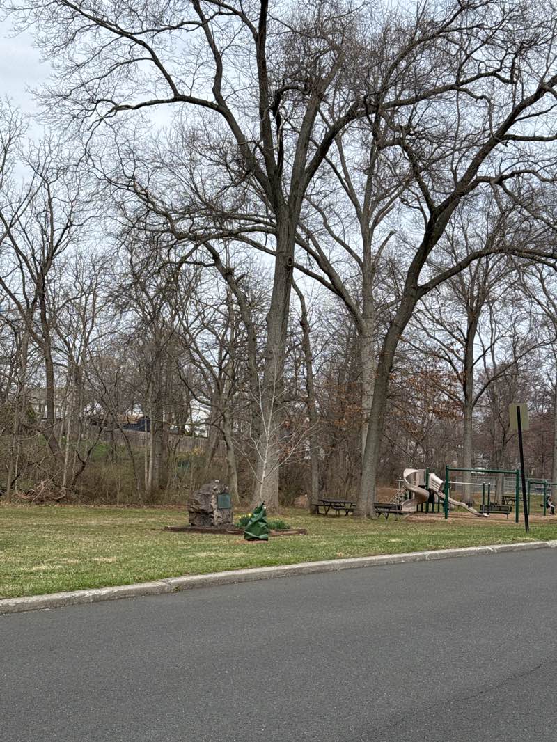 walking near me in Walck Park in spring
