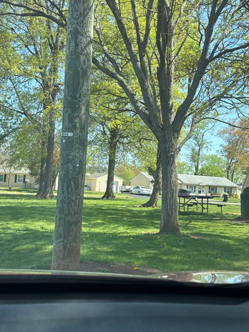 walking near me in Bel Air Park in spring