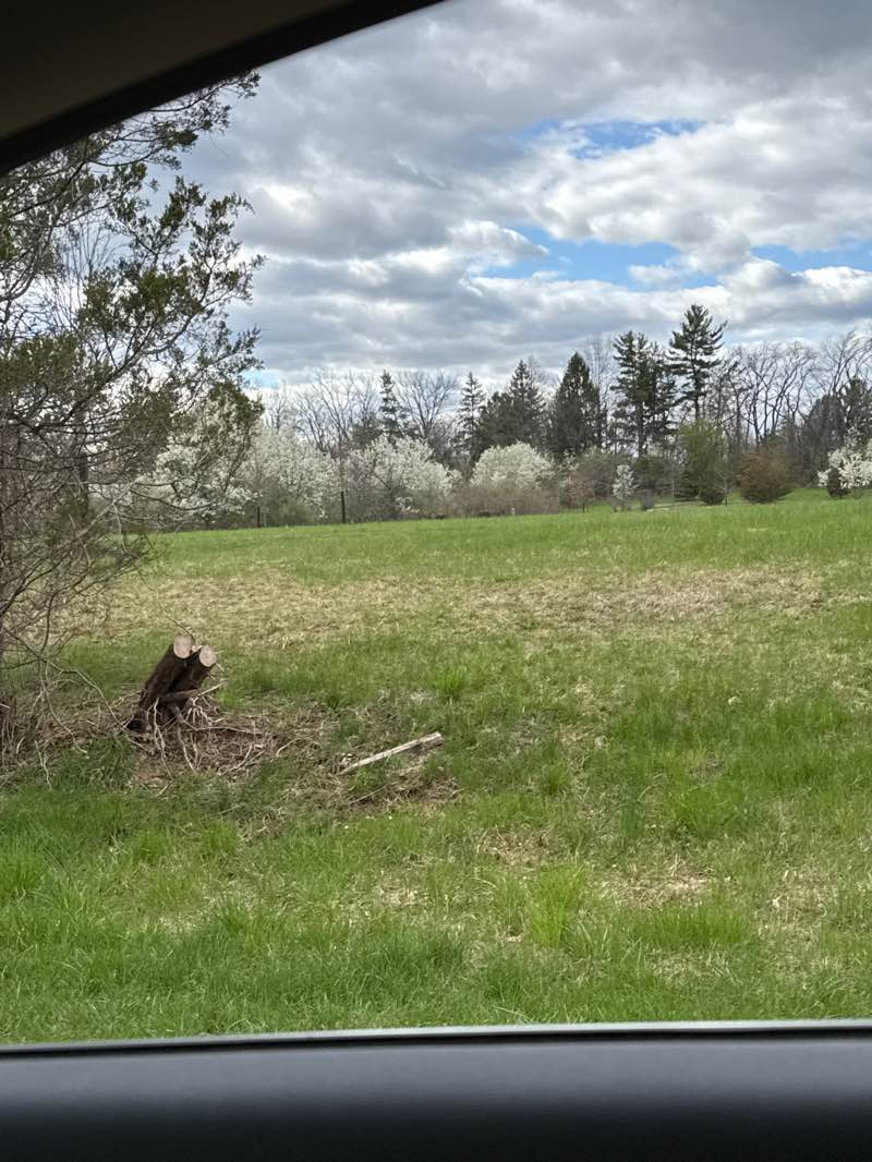 walking near me in Lilly Walking Path in spring