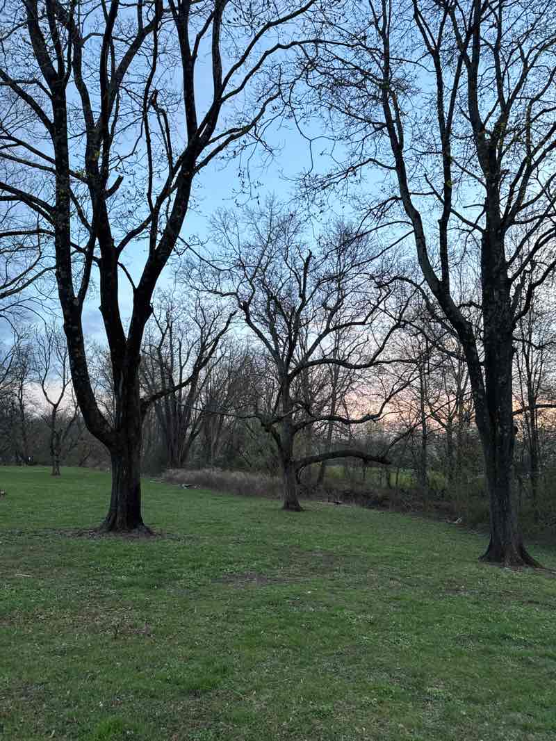 walking near me in Ten Eyck Park in spring