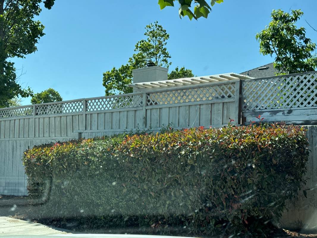 walking near me in Plomosa Park in spring