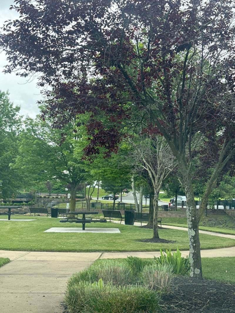 walking near me in Pond Park in summer