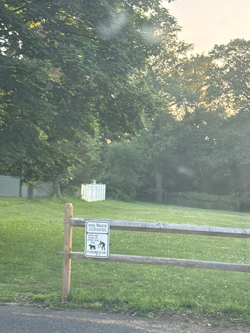 walking near me in Elizabeth Ave Park in summer