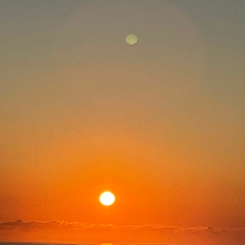 Vamsee Bandaru profile