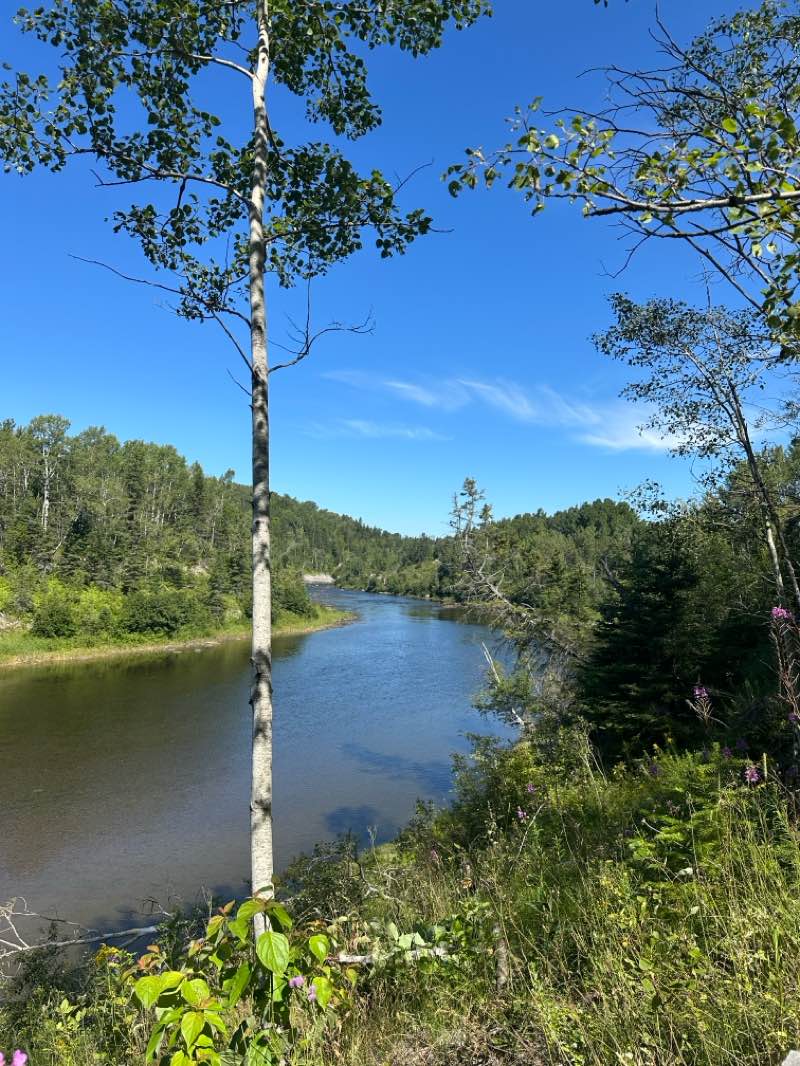 walking near me in Parc Beauséjour in autumn