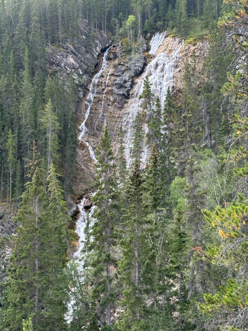walking near me in Canmore Nordic Centre Provincial Park in autumn