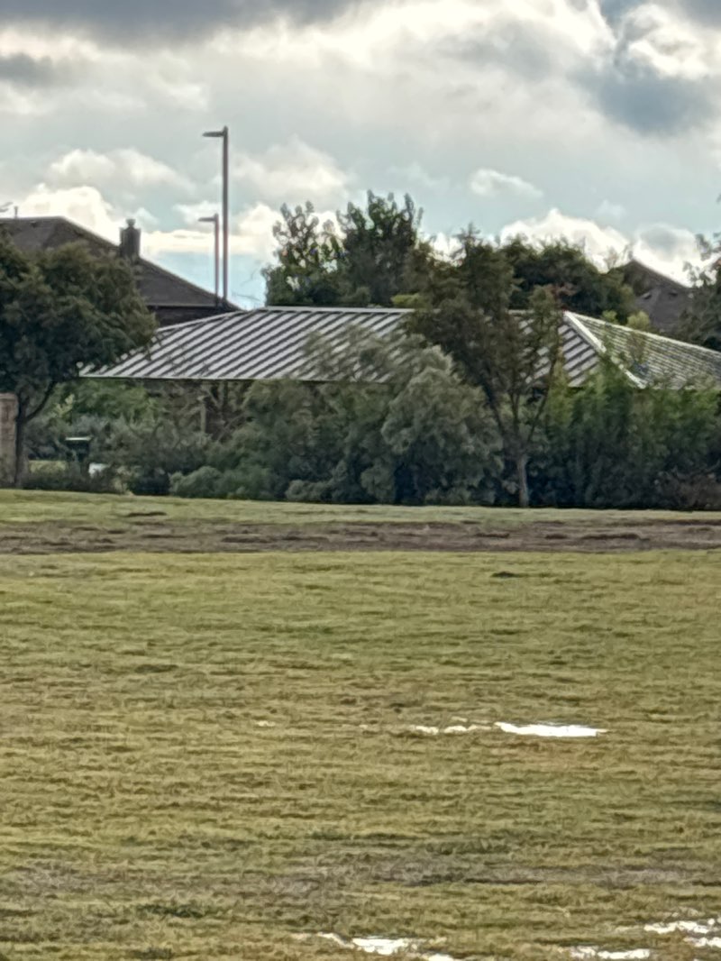 walking near me in George Webb Park in autumn