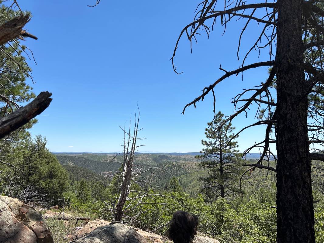 walking near me in Philmont Scout Ranch in winter