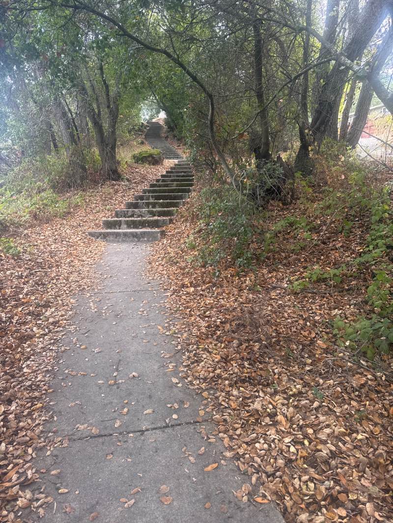 walking near me in Torrey Oaks Linear Park in autumn