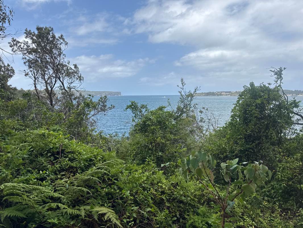 walking near me in Sydney Harbour National Park in summer