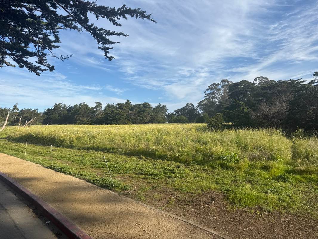 walking near me in Lighthouse Field State Beach in spring