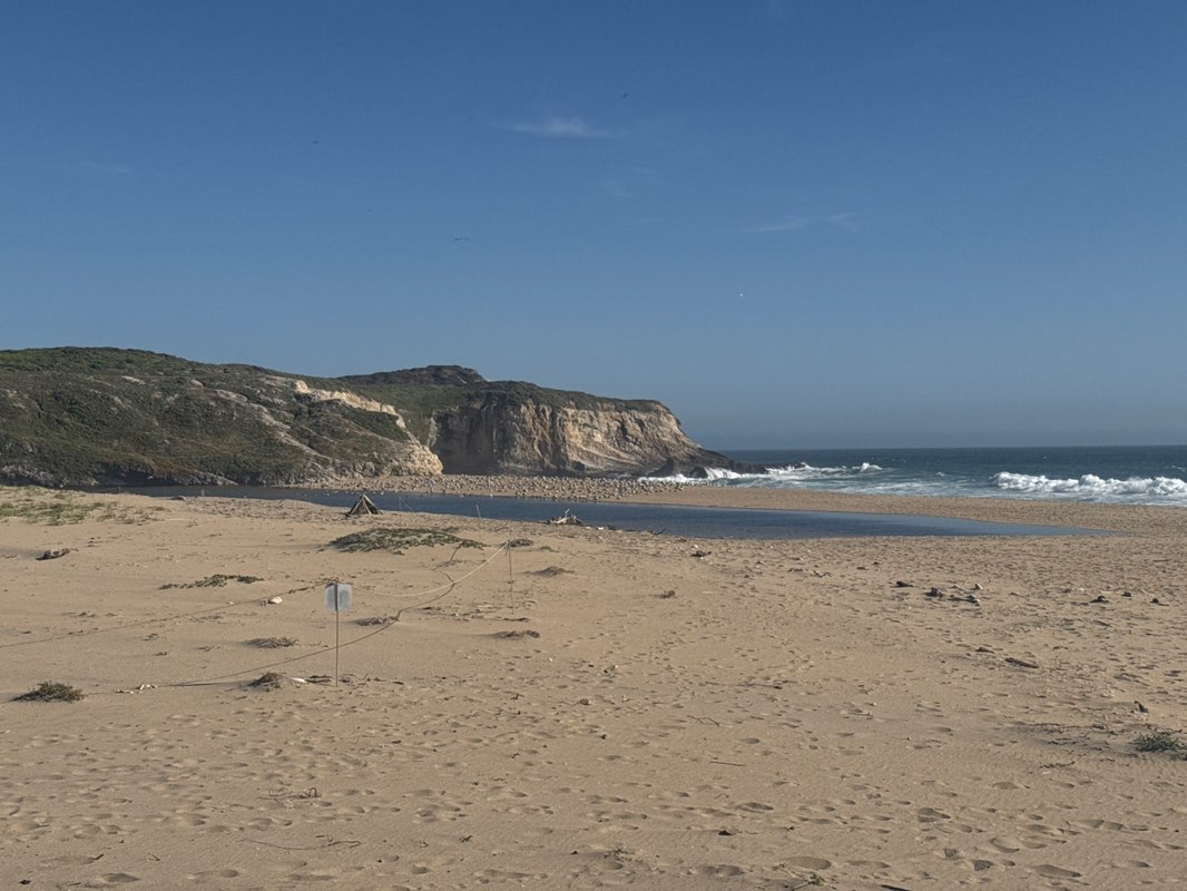 walking near me in Coast Dairies State Park in spring